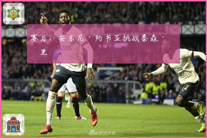 赛后，安东尼·约书亚挑战泰森·富里